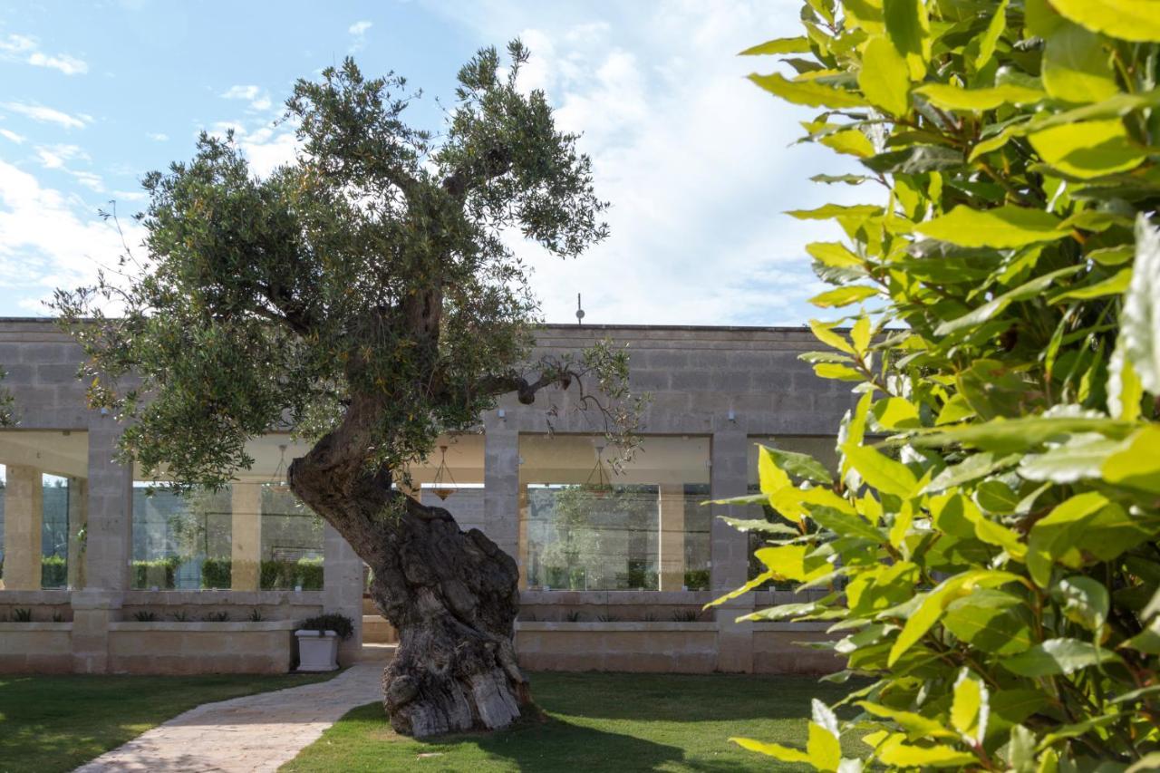 Masseria Torre Del Diamante Torre Canne Luaran gambar